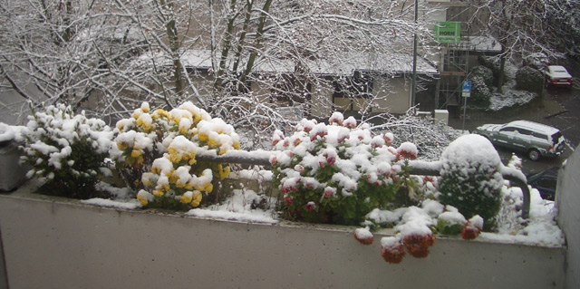 Schneebalkon